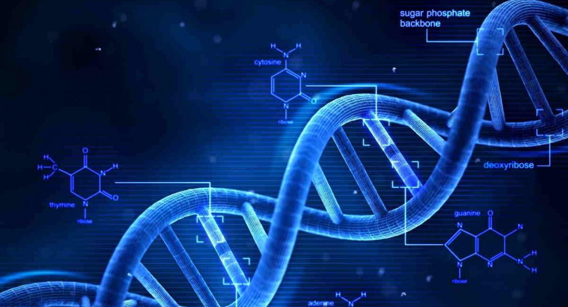 updated-paper-ptc-bearing-mrna-elicits-a-genetic-compensation